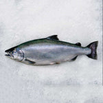 Freshwater King Salmon (Whole Fish-Fresh)